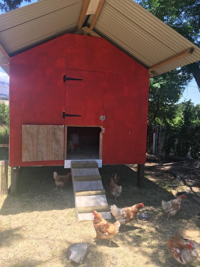 Sweetwater Guesthouse ウェリントン エクステリア 写真