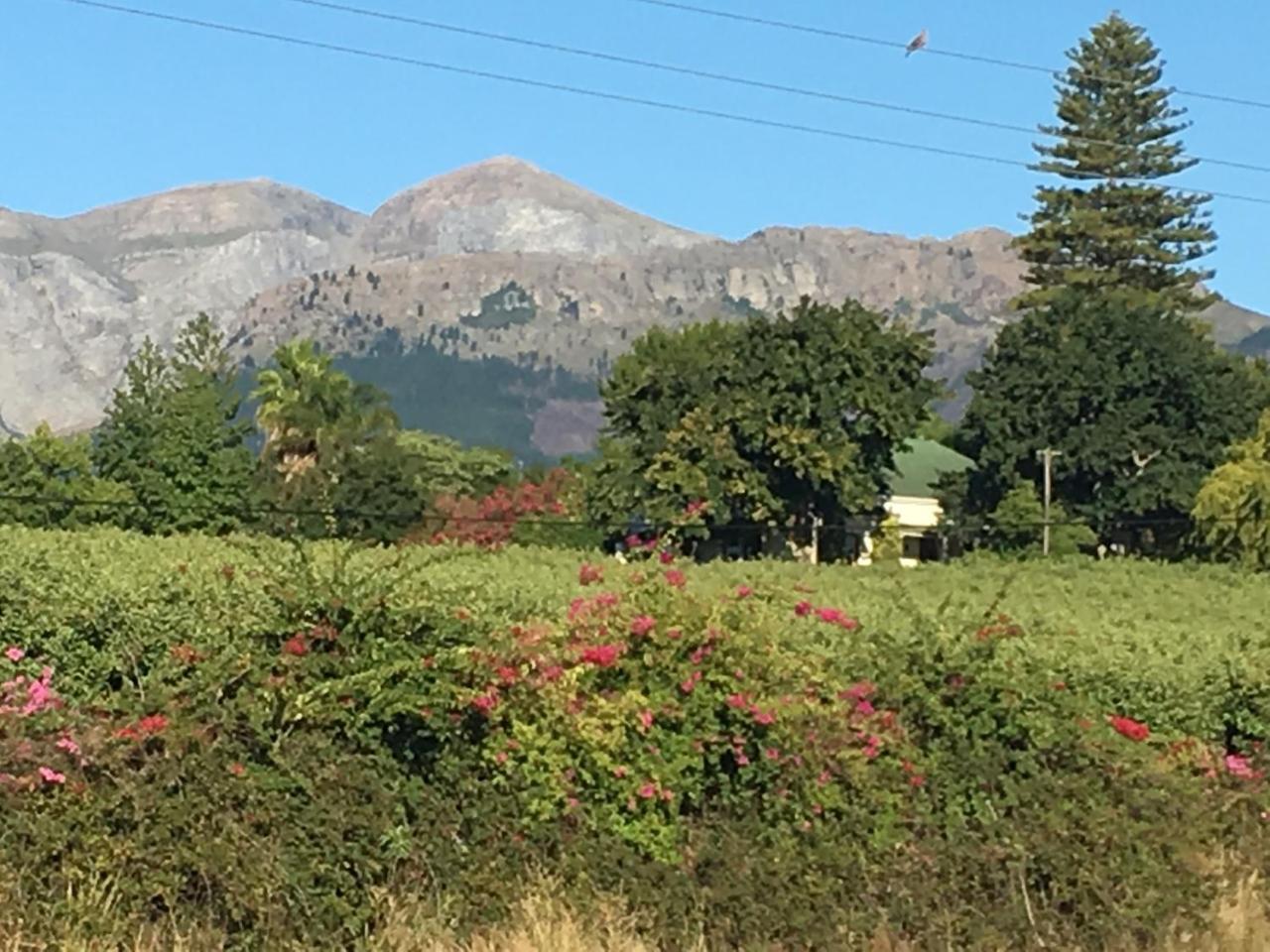 Sweetwater Guesthouse ウェリントン エクステリア 写真